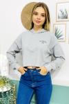 138891 138891-kapsonlu Crop Sweatshırt